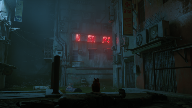 Stray