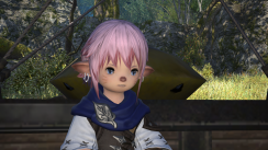 media/67/finalfantasy14_916774t.png