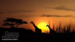 media/67/nyescreensfraafrika_96749t.jpg