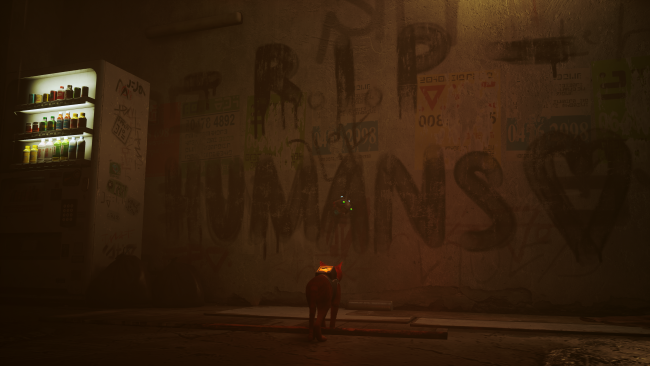 Stray