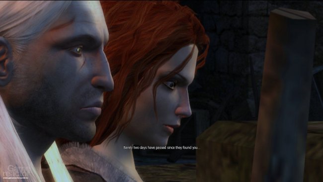 The Witcher