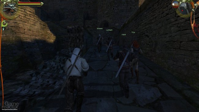 The Witcher