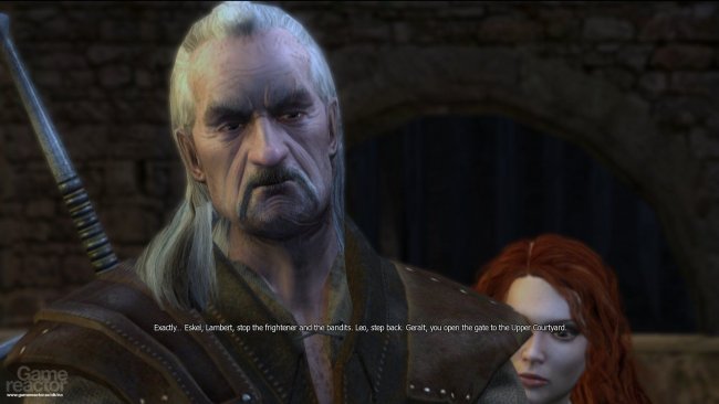 The Witcher