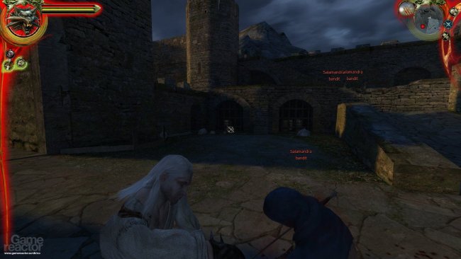The Witcher