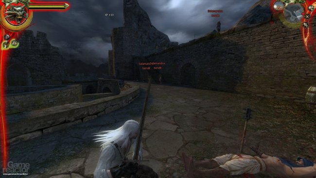 The Witcher