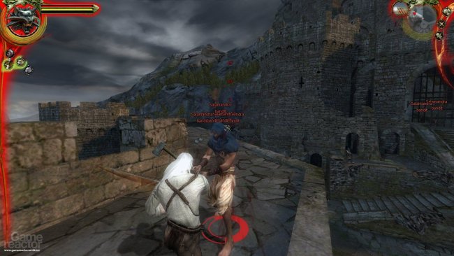 The Witcher