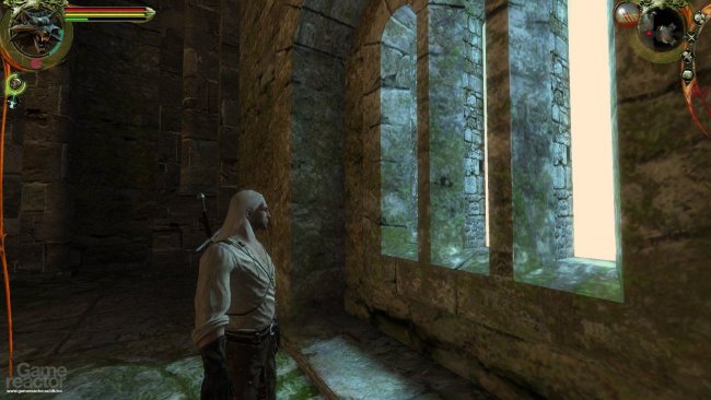 The Witcher