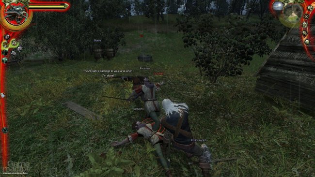 The Witcher