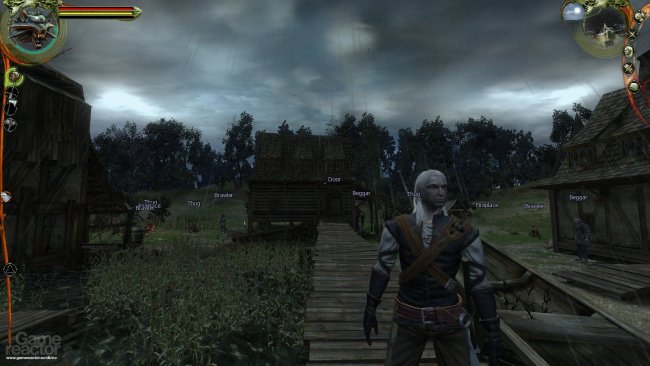 The Witcher