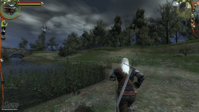 The Witcher
