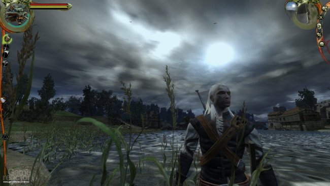 The Witcher
