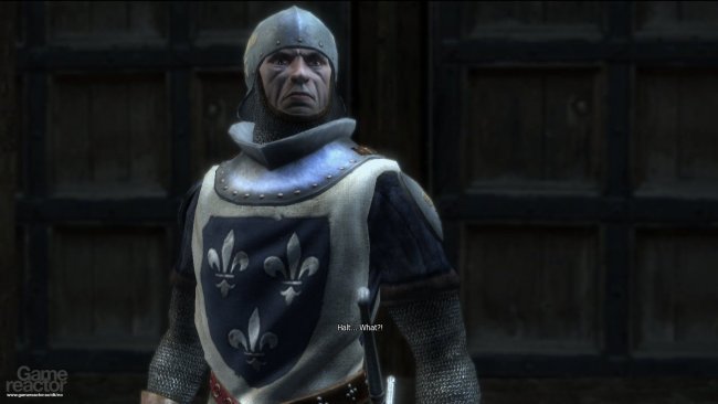 The Witcher