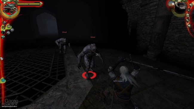 The Witcher