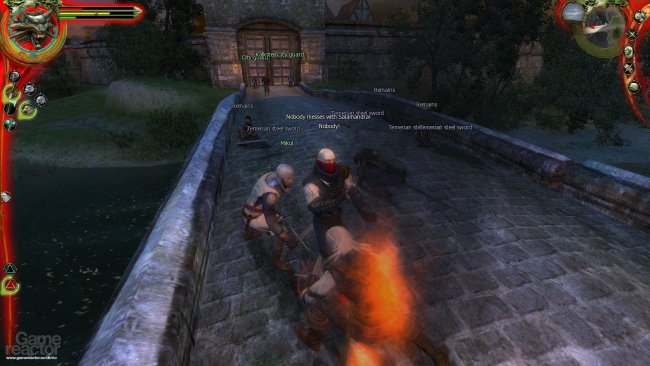 The Witcher