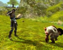 media/69/aion_126913t.jpg