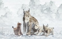 media/70/mightdelightutannonserar_1107094t.jpg