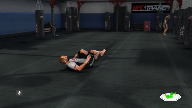 UFC Personal Trainer