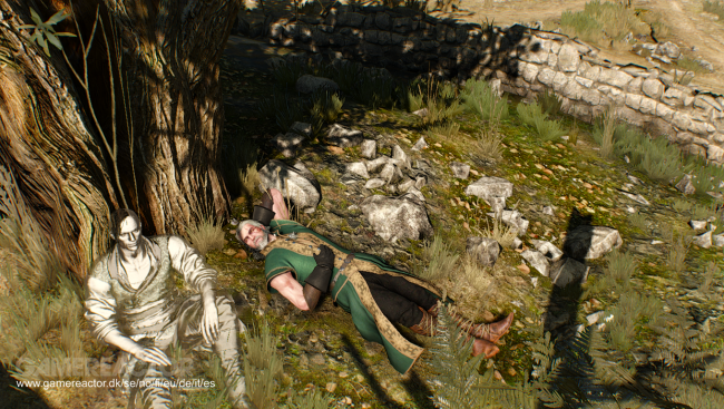 The Witcher 3: Wild Hunt