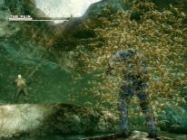 Related Image