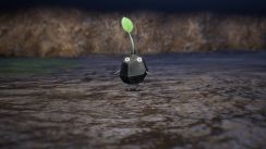 Related Image