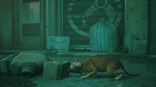Stray