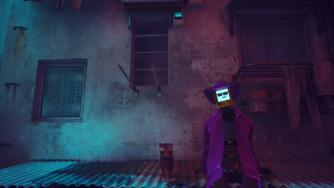 Stray