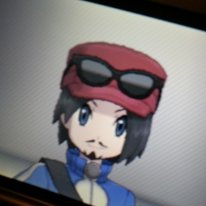 media/75/nintendogjordehembesok_947544t.jpg