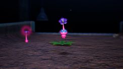 Related Image