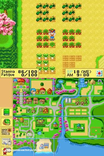 Harvest Moon DS