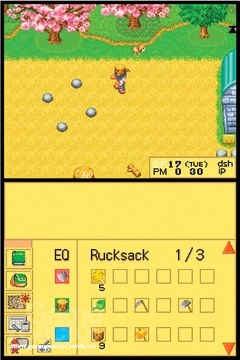 Harvest Moon DS