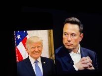 media/78/muskbackscalls_4487873t.jpg