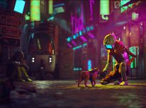 media/79/stray_3827963t.jpg