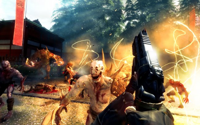 Shadow Warrior