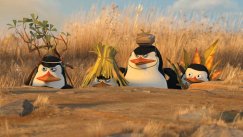 media/82/madagascarinpingviinit_1438274t.jpg