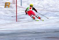 media/84/alpineskiracing2k7_98441t.jpg
