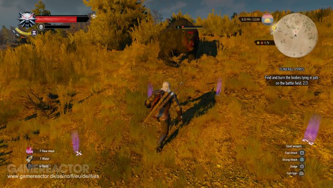 The Witcher 3: Wild Hunt