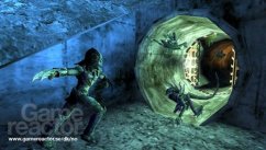 media/85/alienspredator_billeder_138598t.jpg