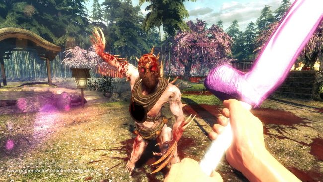 Shadow Warrior
