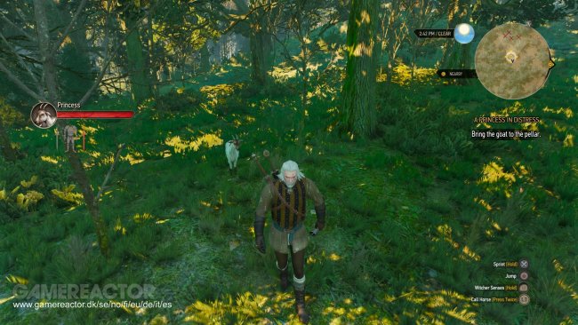 The Witcher 3: Wild Hunt