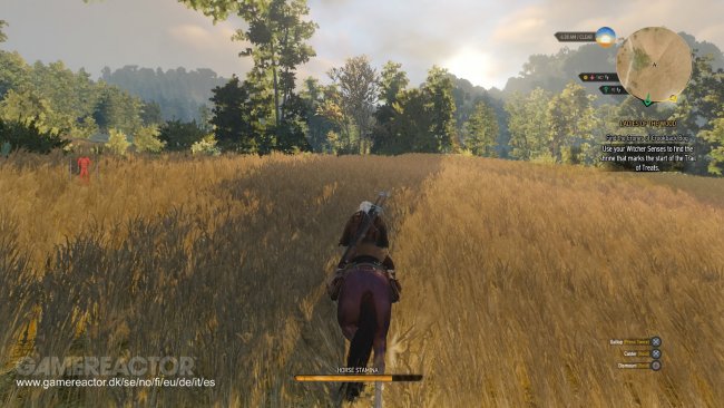 The Witcher 3: Wild Hunt