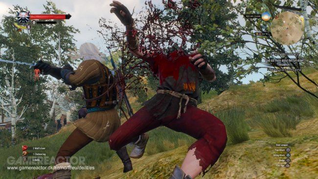The Witcher 3: Wild Hunt