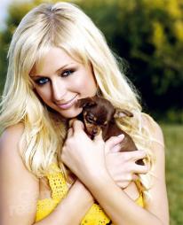 media/87/parishiltonispill_88761t.jpg