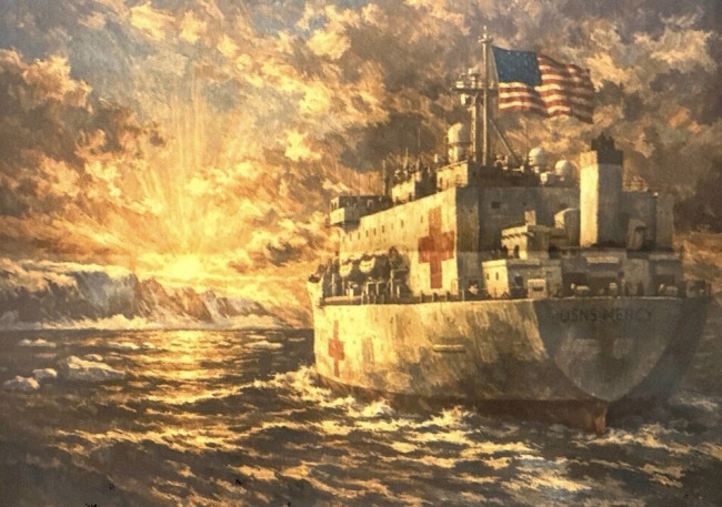 Trump tilbyr sykehusskip til Grønland, men Grønlands statsminister sier "nei takk"