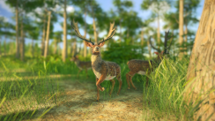 Related Image