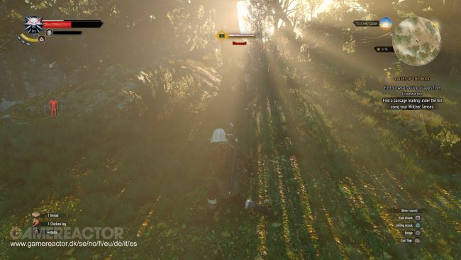 The Witcher 3: Wild Hunt