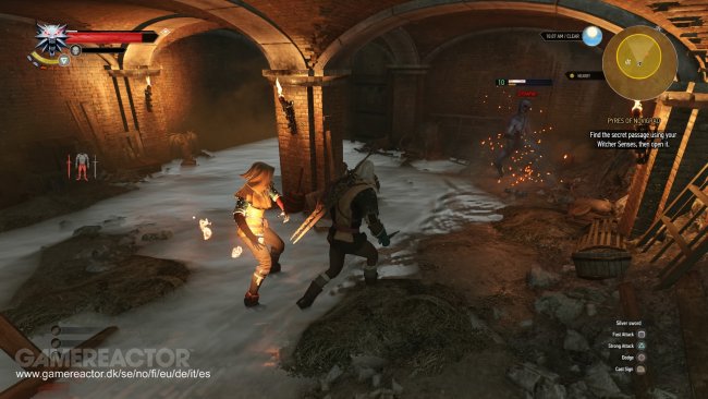 The Witcher 3: Wild Hunt