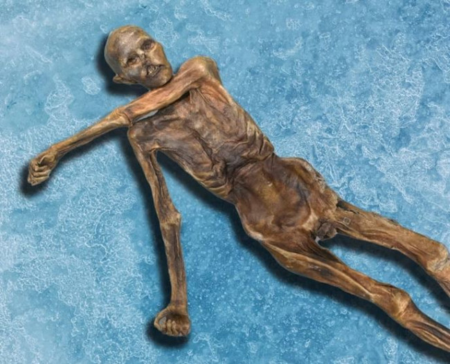 Forskere forvandler 5000 år gammel mumie til surdeigsbrød