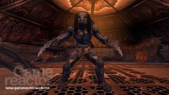 media/89/alienpredator_128970t.jpg
