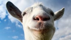 media/89/goatsimulator_1108914t.jpg