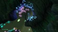 Related Image
